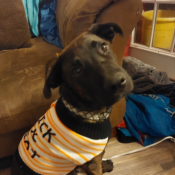 Hello, I'm Gina! - Picture 2 of 3